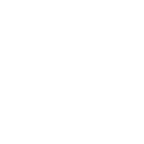 Manual Therapy icon
